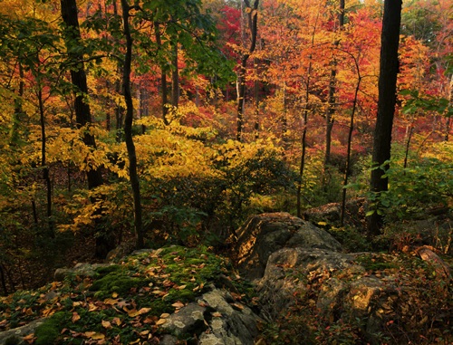 Peeper Gorge 2, Sparta Mountains, Sussex County, NJ (MF).jpg Peeper Gorge 2, Sparta Mountains, Sussex County, NJ (MF).jpg